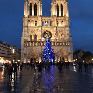 Participação no Concurso de fotografia de celular - As luzes de Notre Dame